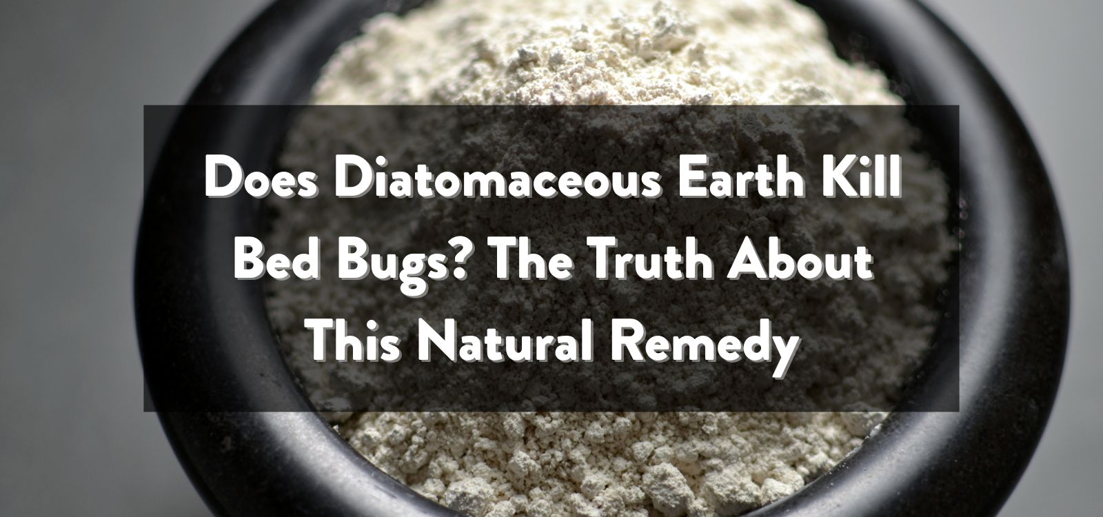 Does Diatomaceous Earth Kill Bed Bugs? Truth About This Natural Remedy
