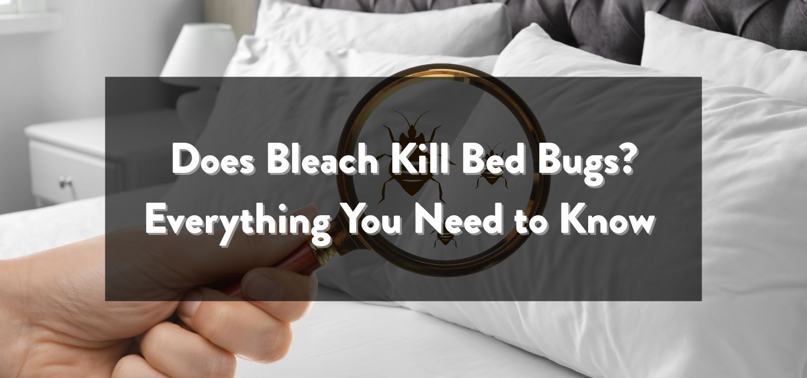 Does Bleach Kill Bed Bugs? A Complete Guide to Using Bleach for Bed Bug Control