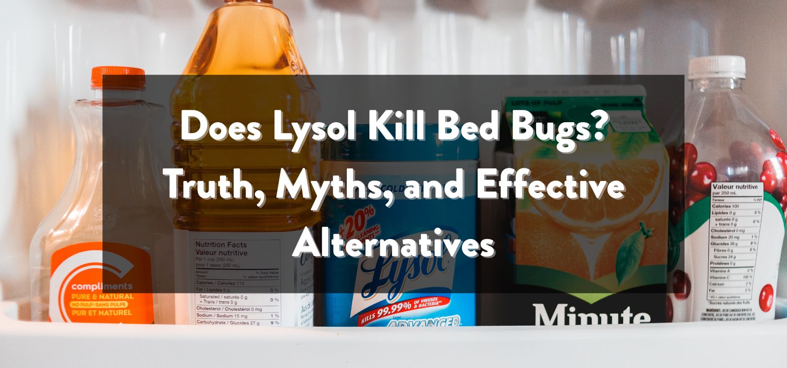 Does Lysol Kill Bed Bugs? Truth, Myths, and Effective Alternatives