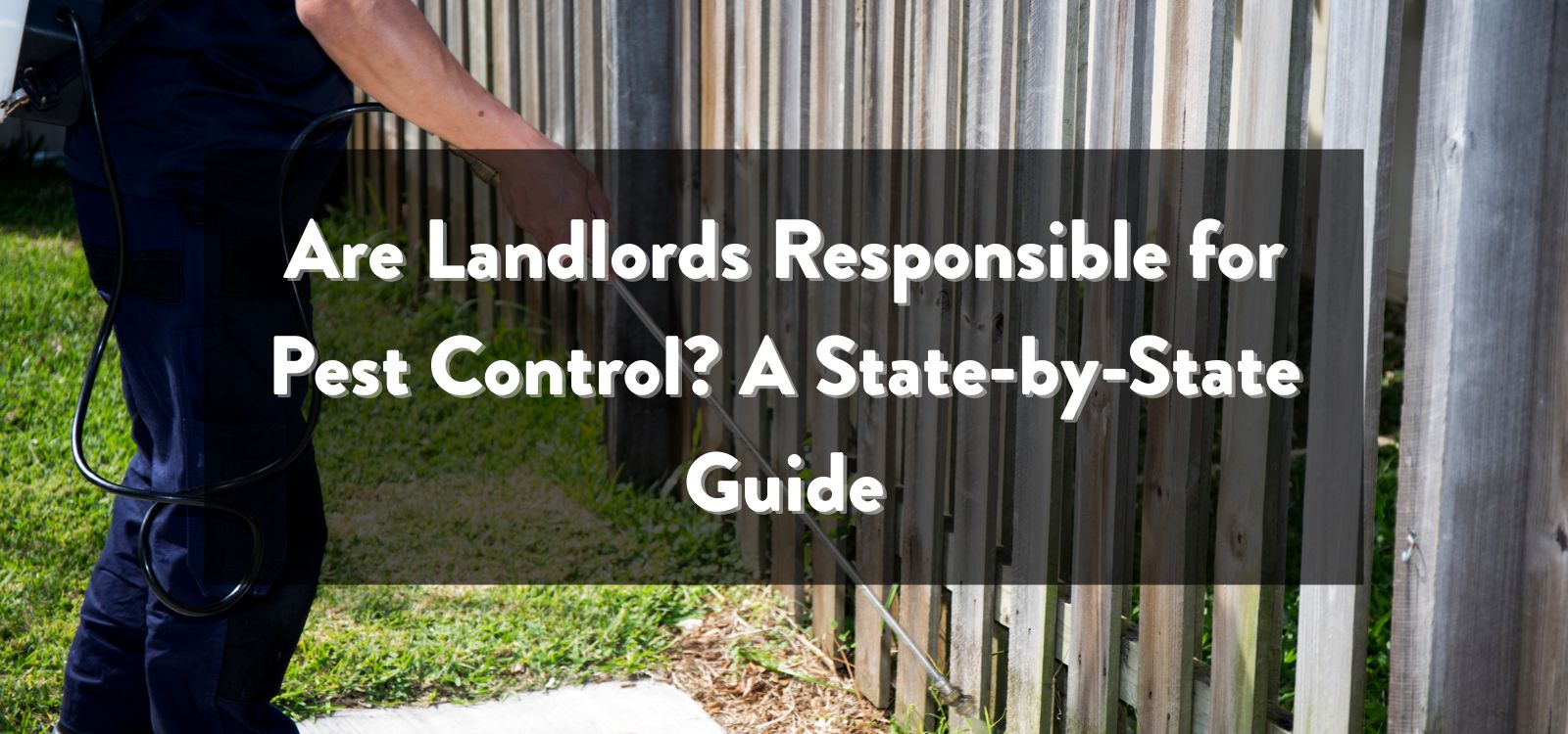 Are Landlords Responsible for Pest Control? A State-by-State Guide