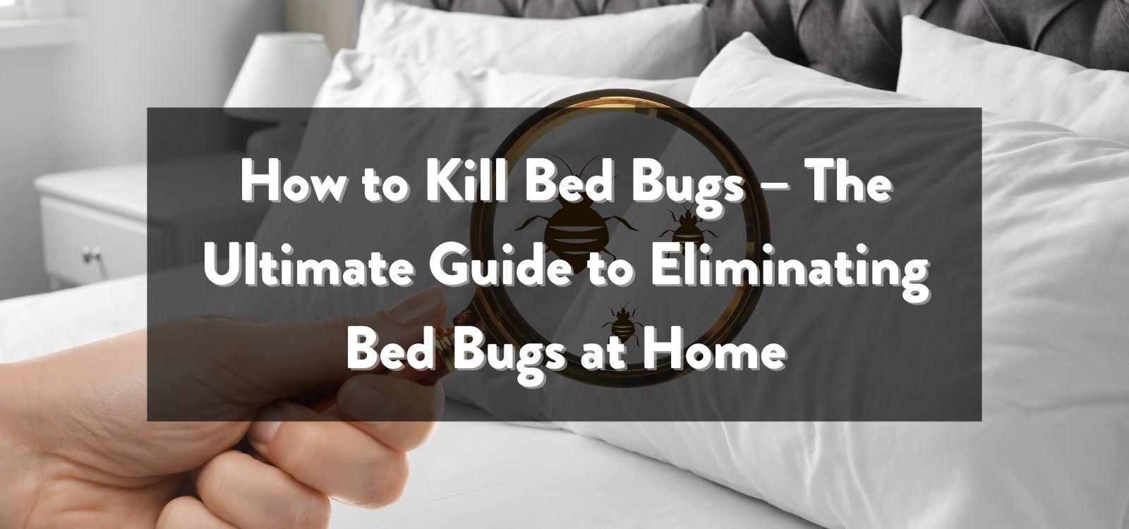 How to Kill Bed Bugs – The Ultimate Guide to Eliminating Bed Bugs at Home