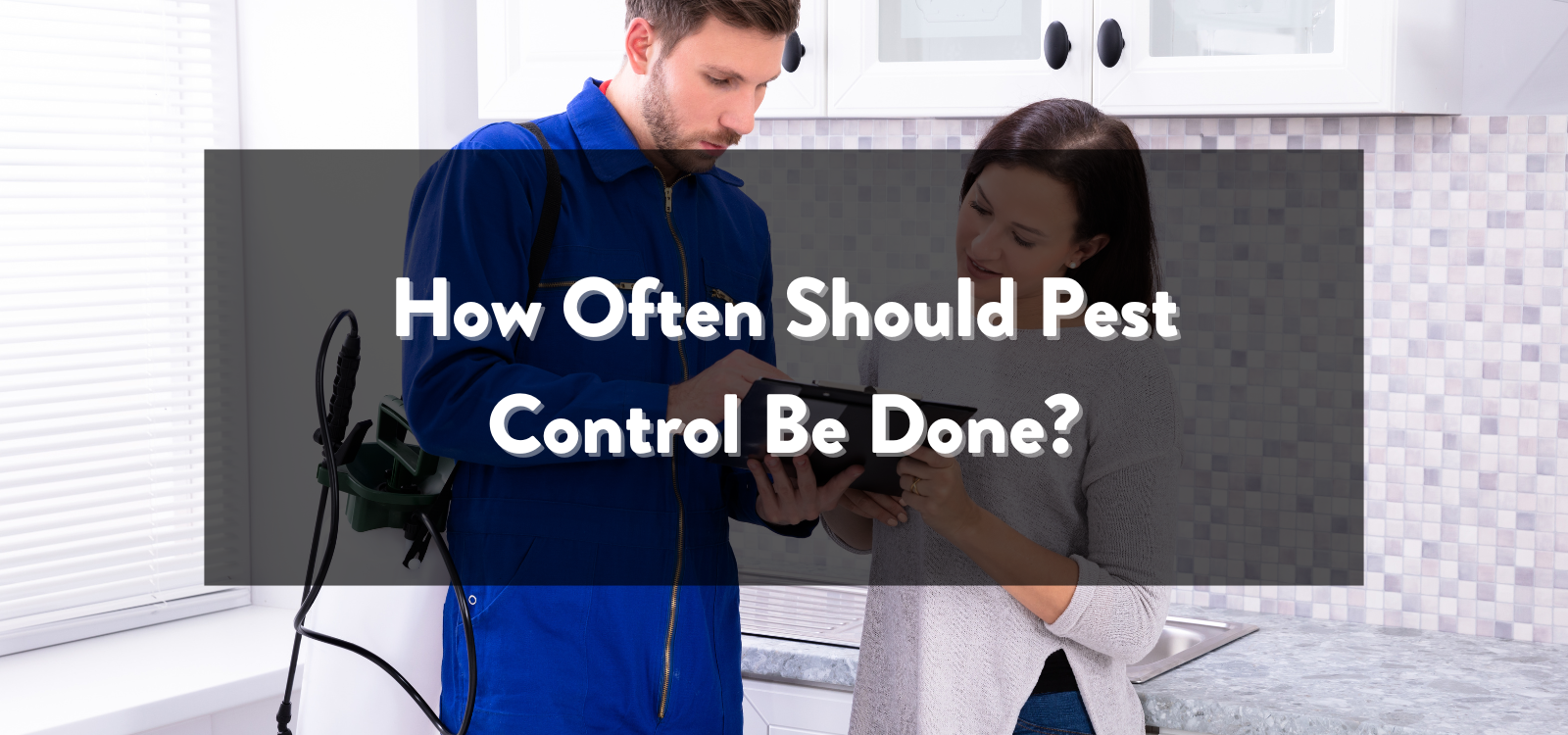 How Often Should Pest Control Be Done? A Comprehensive Guide
