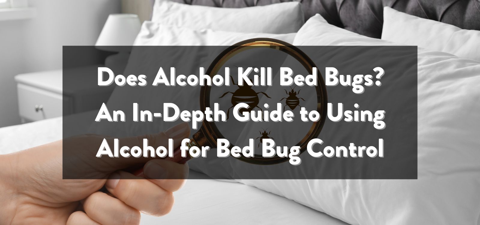 Does Alcohol Kill Bed Bugs? An In-Depth Guide to Using Alcohol for Bed Bug Control