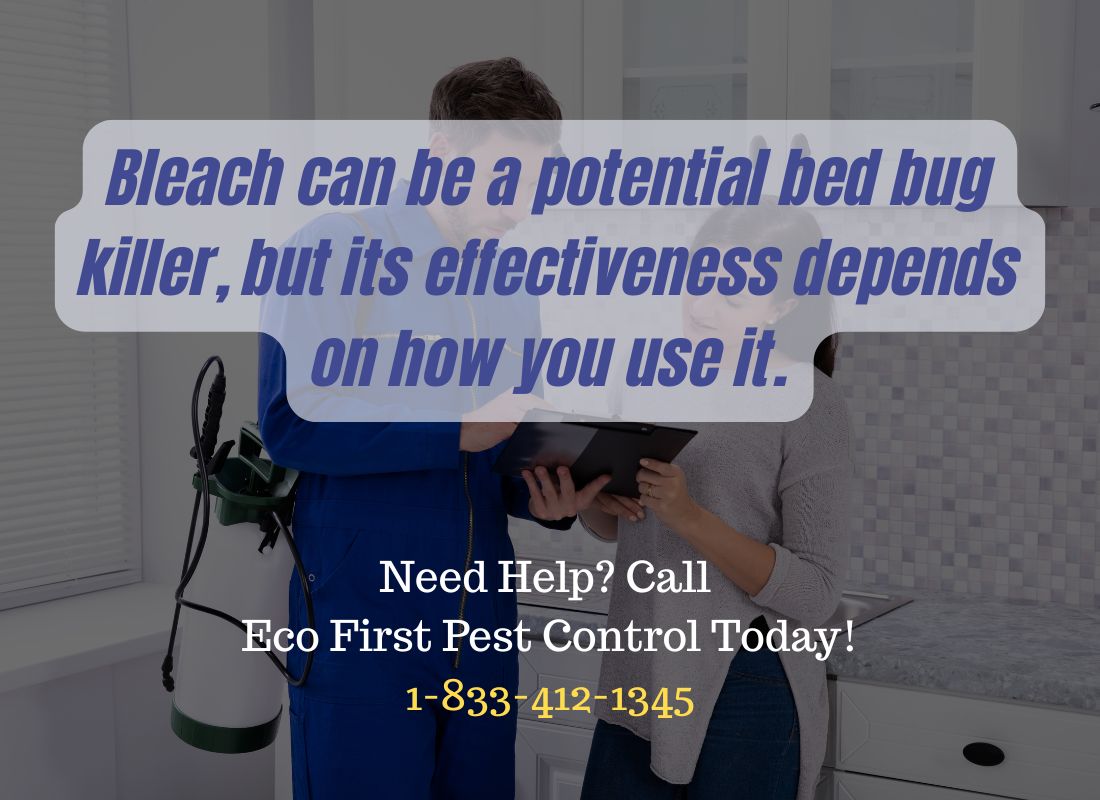 Does Bleach Kill Bed Bugs A Comprehensive Guide to Using Bleach for Bed Bug Control.jpg